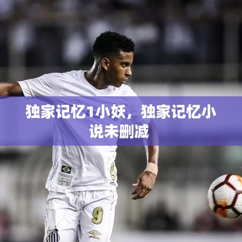 獨家記憶1小妖，獨家記憶小說未刪減