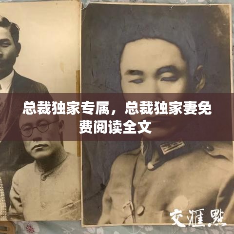 總裁獨家專屬，總裁獨家妻免費閱讀全文