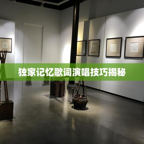 獨家記憶歌詞演唱技巧揭秘