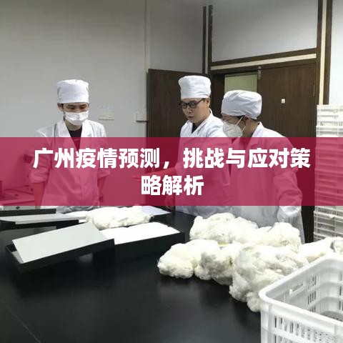 廣州疫情預測，挑戰與應對策略解析