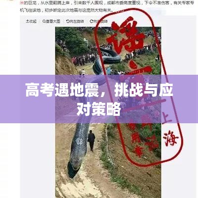 高考遇地震，挑戰與應對策略