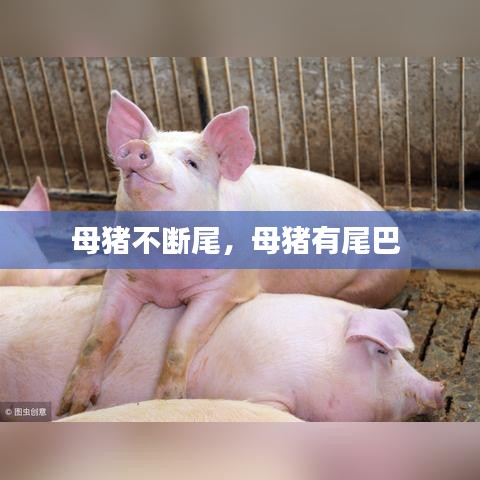 半截鳥木 第2頁