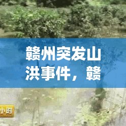 贛州突發山洪事件，贛州剛剛發生的事