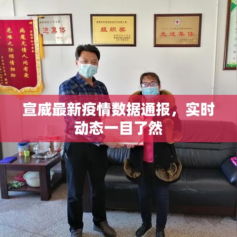 宣威最新疫情數據通報，實時動態一目了然
