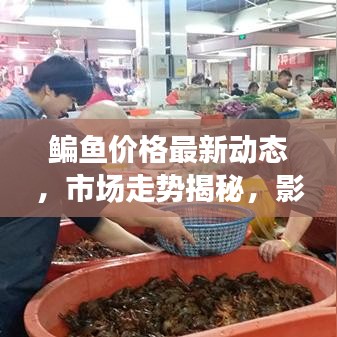 鳊魚價格最新動態，市場走勢揭秘，影響因素深度剖析