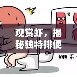 觀賞蝦，揭秘獨特排便魅力的秘密