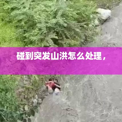 突發山洪應對指南，處理與自救方法
