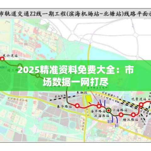 2025精準(zhǔn)資料免費(fèi)大全：市場數(shù)據(jù)一網(wǎng)打盡