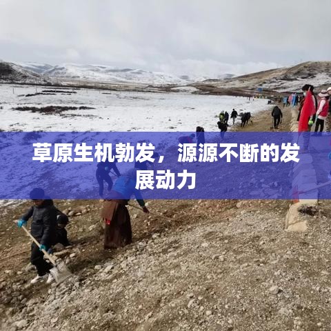草原生機(jī)勃發(fā)，源源不斷的發(fā)展動(dòng)力