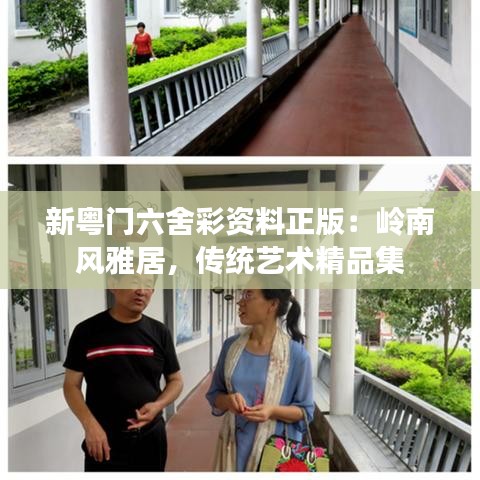 新粵門六舍彩資料正版：嶺南風雅居，傳統藝術精品集