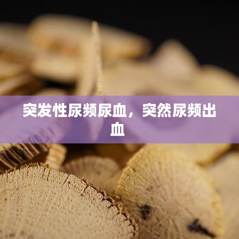 突發性尿頻尿血，突然尿頻出血 