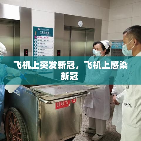 飛機上突發新冠，飛機上感染新冠 
