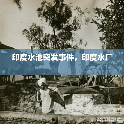 印度水池突發事件，印度水廠 