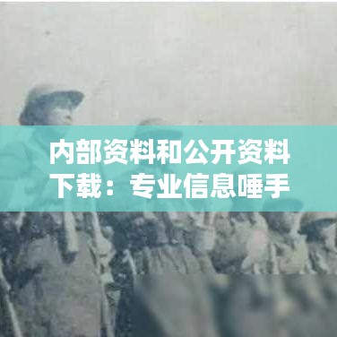 內部資料和公開資料下載：專業信息唾手可得