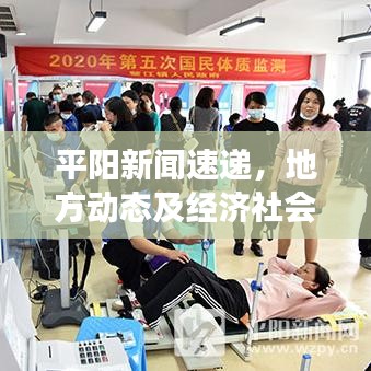 平陽新聞速遞，地方動態(tài)及經(jīng)濟社會發(fā)展全掌握