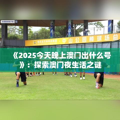 《2025今天晚上澳門出什么號》：探索澳門夜生活之謎