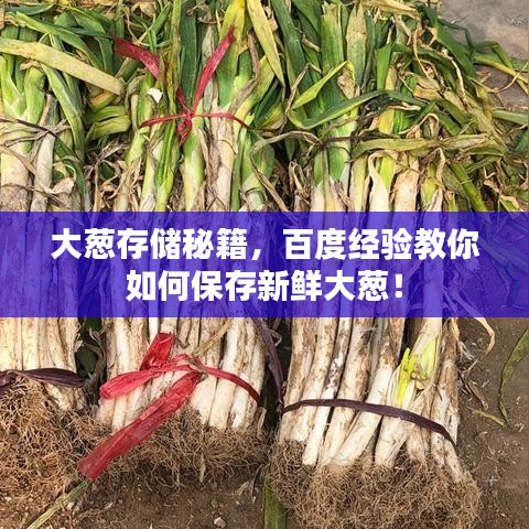 大蔥存儲(chǔ)秘籍，百度經(jīng)驗(yàn)教你如何保存新鮮大蔥！