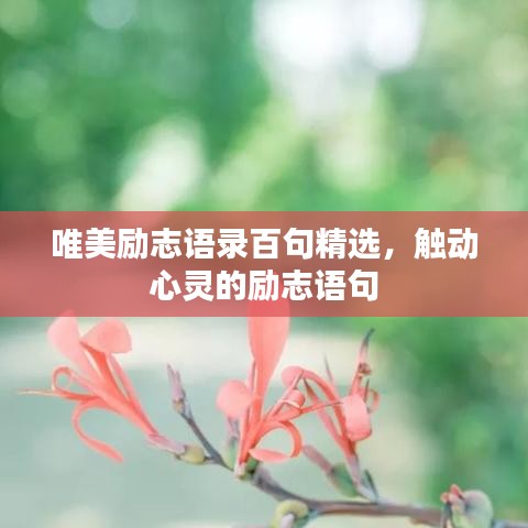 唯美勵志語錄百句精選，觸動心靈的勵志語句