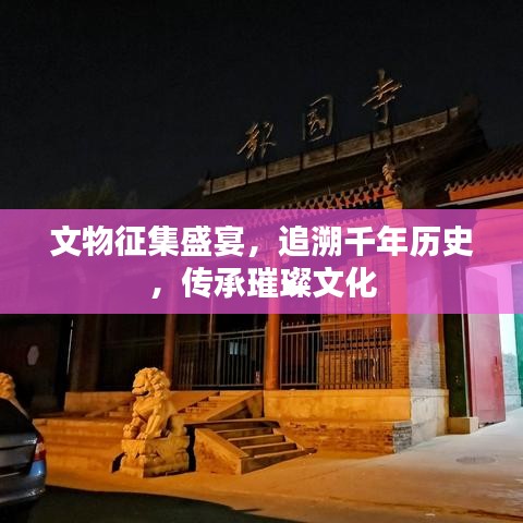 文物征集盛宴，追溯千年歷史，傳承璀璨文化