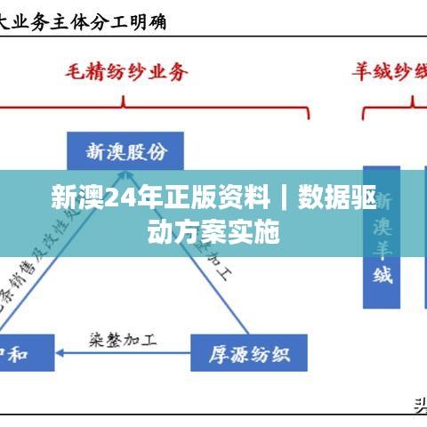 新澳24年正版資料｜數(shù)據(jù)驅(qū)動方案實施