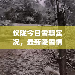 儀隴今日雪飄實況，最新降雪情況一覽