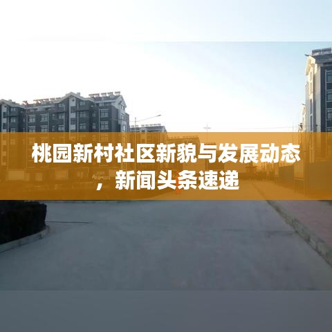 桃園新村社區新貌與發展動態，新聞頭條速遞