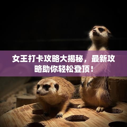 女王打卡攻略大揭秘，最新攻略助你輕松登頂！