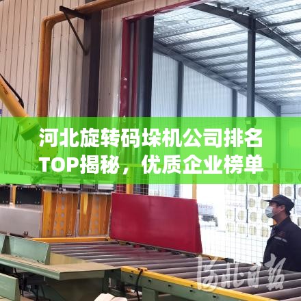 河北旋轉碼垛機公司排名TOP揭秘，優質企業榜單不容錯過！