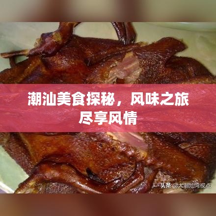 潮汕美食探秘，風味之旅盡享風情