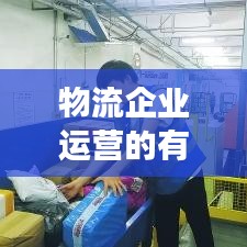 物流企業運營的有效落實策略