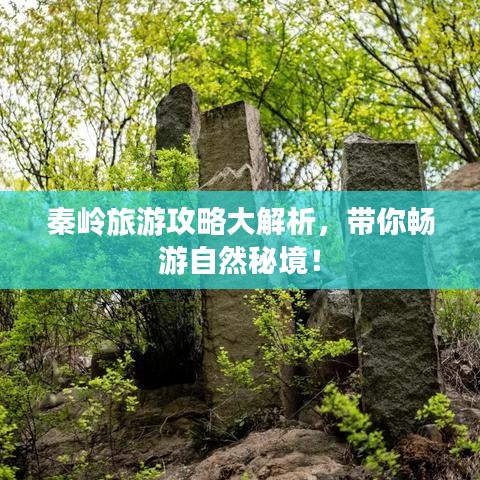 秦嶺旅游攻略大解析，帶你暢游自然秘境！