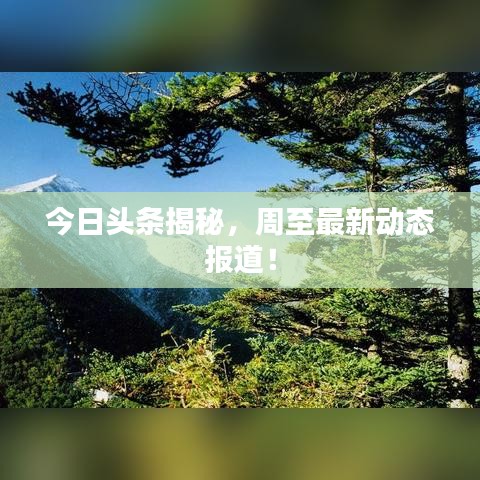今日頭條揭秘，周至最新動態(tài)報道！