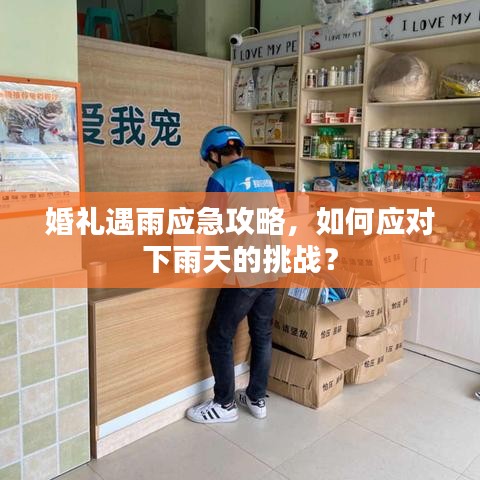 婚禮遇雨應急攻略，如何應對下雨天的挑戰？