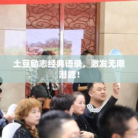 土豆勵志經典語錄，激發無限潛能！