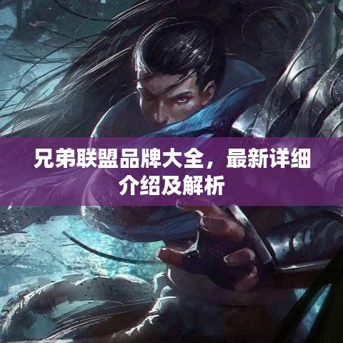 兄弟聯盟品牌大全，最新詳細介紹及解析