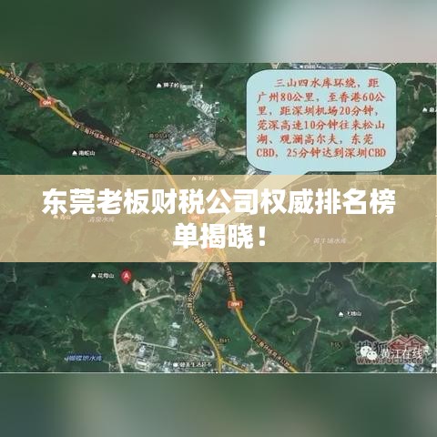 東莞老板財稅公司權威排名榜單揭曉！