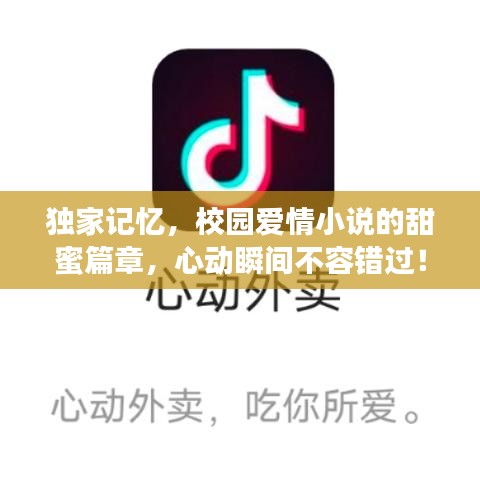 獨(dú)家記憶，校園愛情小說的甜蜜篇章，心動瞬間不容錯過！
