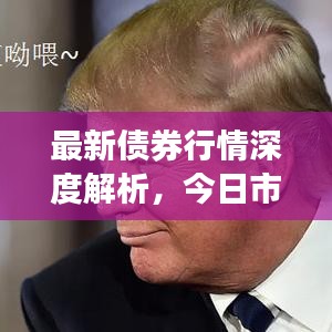 最新債券行情深度解析，今日市場動態(tài)一覽