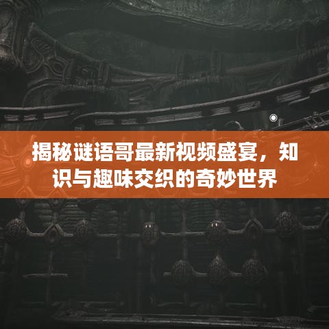 揭秘謎語哥最新視頻盛宴，知識與趣味交織的奇妙世界