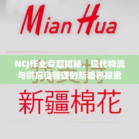 NCJ作業(yè)專題揭秘，現(xiàn)代物流與供應(yīng)鏈管理的新疆界探索