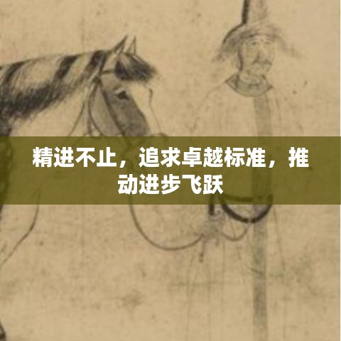 精進(jìn)不止，追求卓越標(biāo)準(zhǔn)，推動(dòng)進(jìn)步飛躍