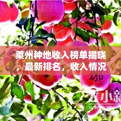 萊州種地收入榜單揭曉，最新排名，收入情況大揭秘！