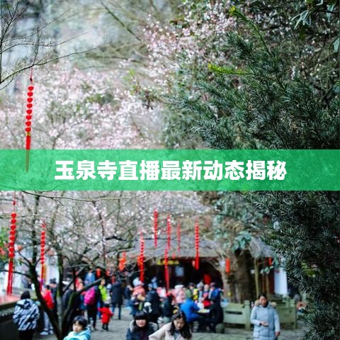 玉泉寺直播最新動態揭秘