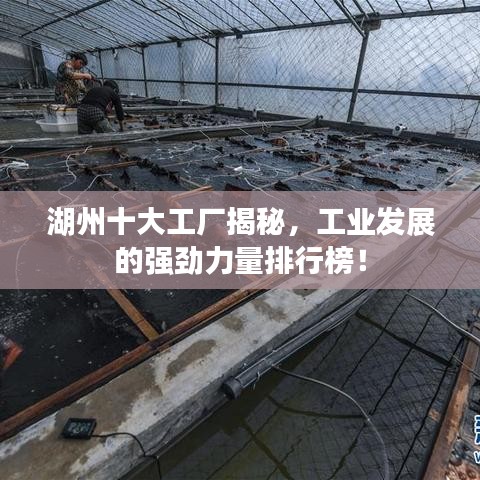 湖州十大工廠揭秘，工業發展的強勁力量排行榜！