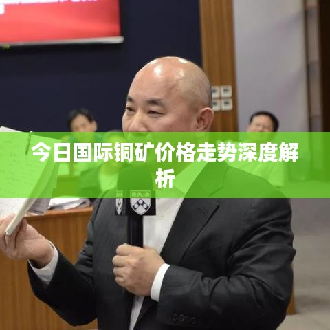 鋪張揚厲 第2頁