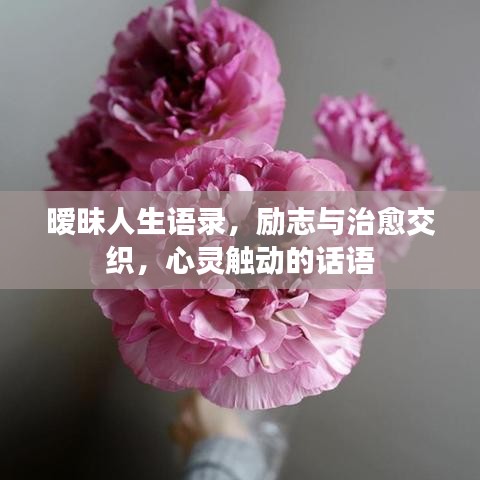 曖昧人生語錄，勵志與治愈交織，心靈觸動的話語