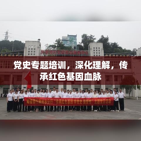 黨史專題培訓，深化理解，傳承紅色基因血脈