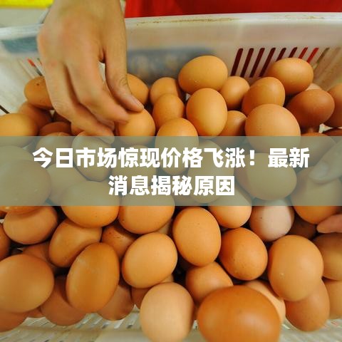 今日市場驚現價格飛漲！最新消息揭秘原因