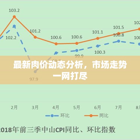 最新肉價動態分析，市場走勢一網打盡