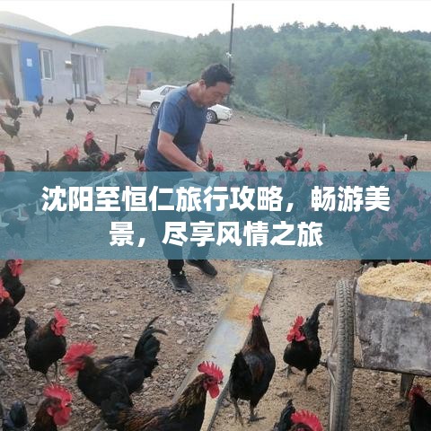 沈陽至恒仁旅行攻略，暢游美景，盡享風情之旅